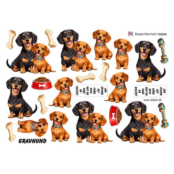 3D Gravhund