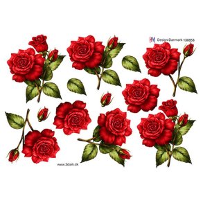 3D Stor r�d rose