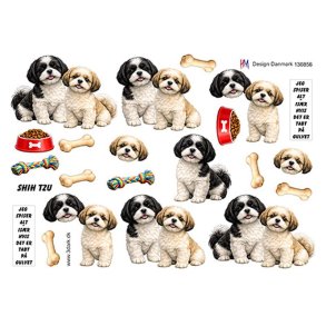 3D Shih Tzu