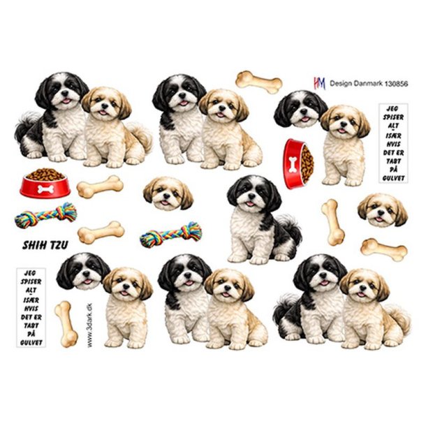 3D Shih Tzu