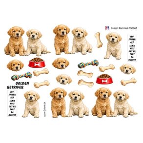 3D Golden Retriver