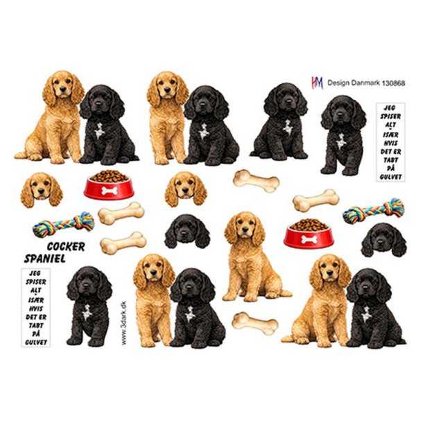3D Cocker Spaniel