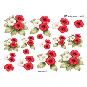 3D R�de og hvide petuniaer