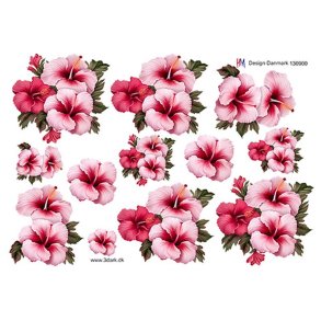 3D Lyser�d syrisk rose