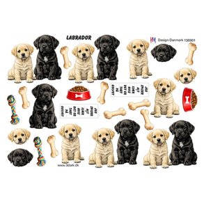 3D Labrador