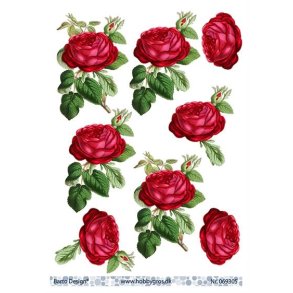 3D Barto Design R�de roser