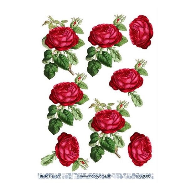 3D Barto Design R�de roser