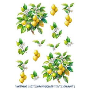 3D Citrontr� med citroner