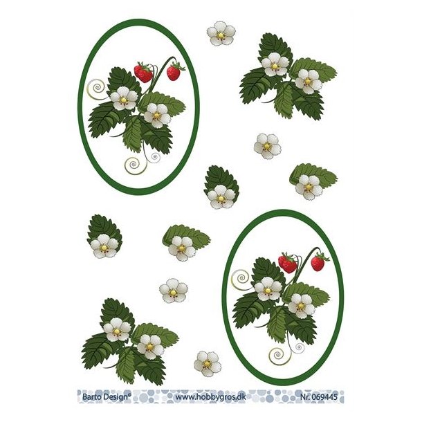 3D Barto Design Jordb�rblomster og jordb�r