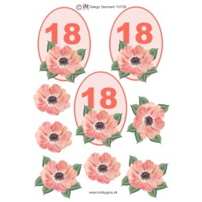 3D 18 �r