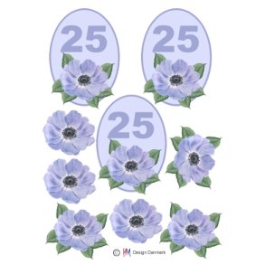 3D 25 �r