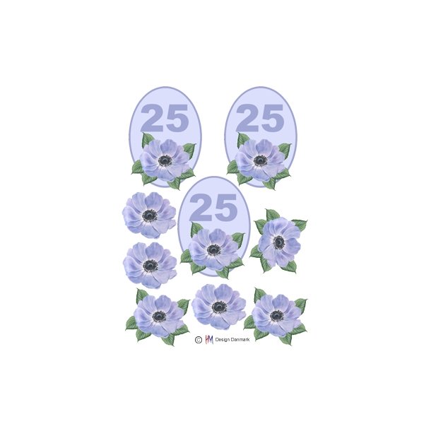 3D 25 �r