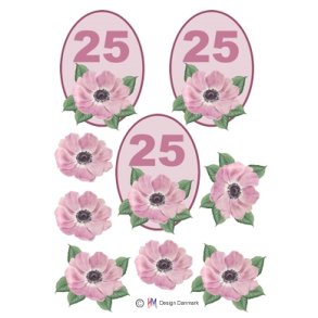 3D 25 �r
