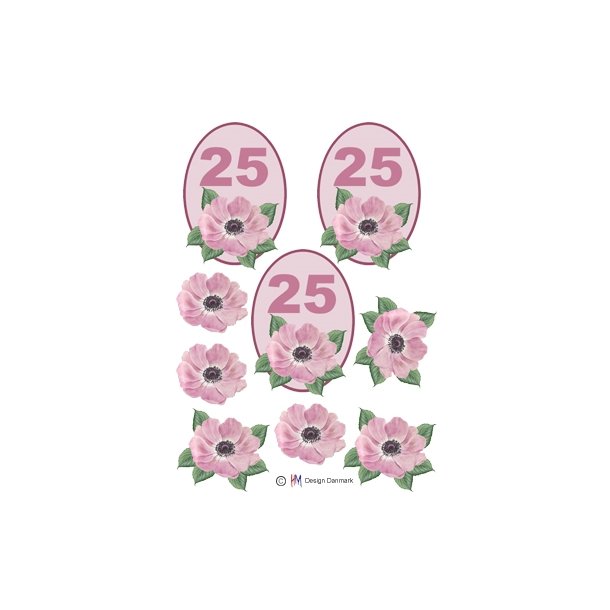 3D 25 �r