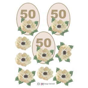 3D 50 �r