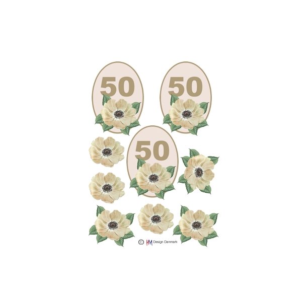 3D 50 �r