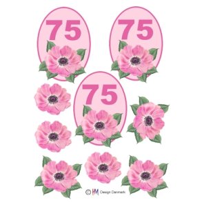 3D 75 �r