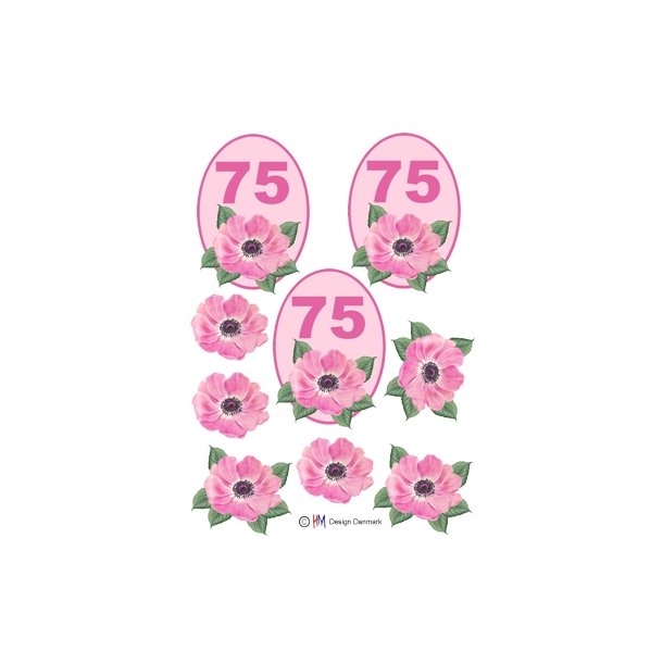 3D 75 �r