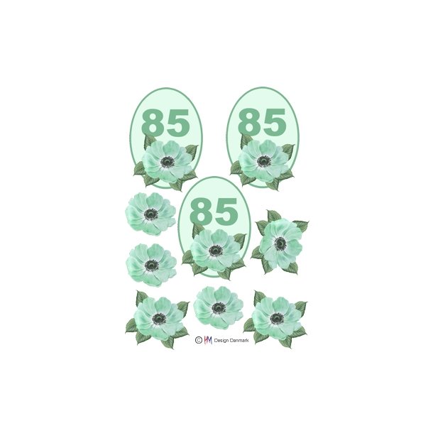 3D 85 �r