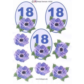 3DHM 3D 18 �r 