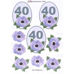 3D 40 �r