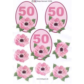 3D 50 �r