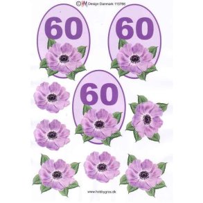 3D 60 �r