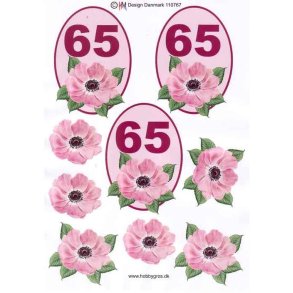 3D 65 �r