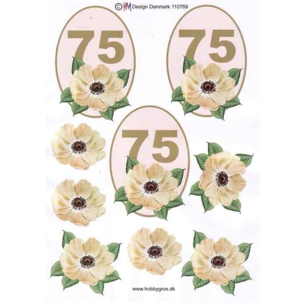 3D 75 �r