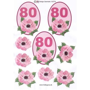 3D 80 �r