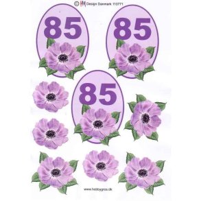3D 85 �r