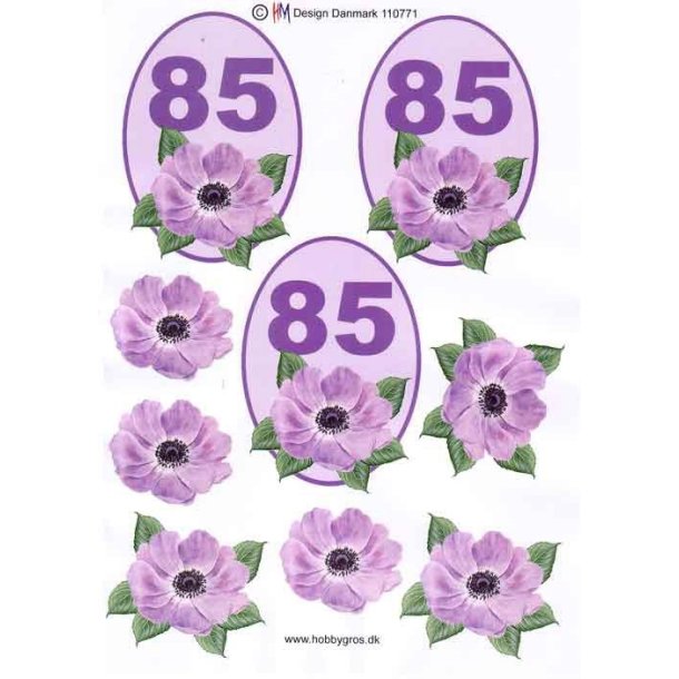 3D 85 �r
