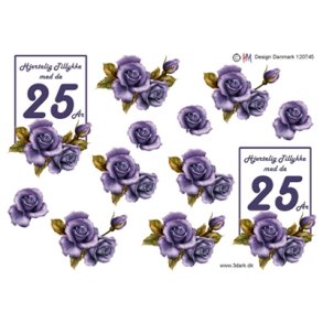 3D 25 �r