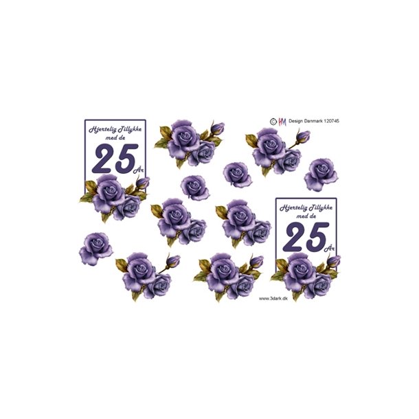 3D 25 �r