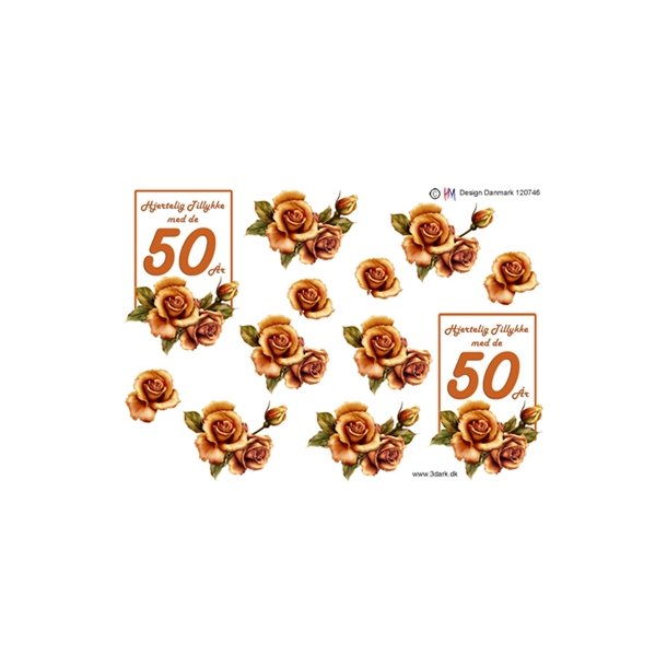 3D 50 �r