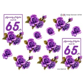 3D 65 �r