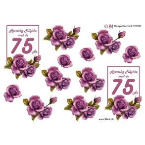 3D 75 �r