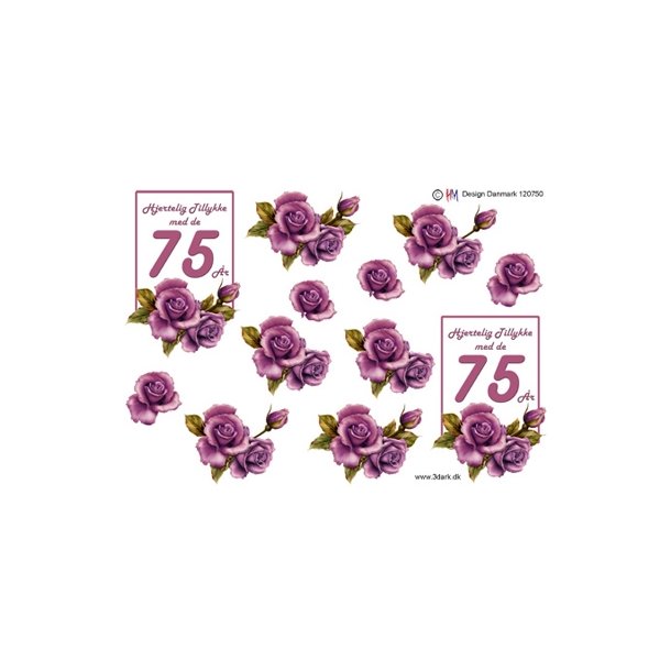 3D 75 �r