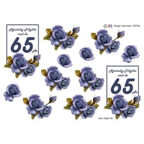 3D 65 �r