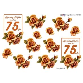 3D 75 �r