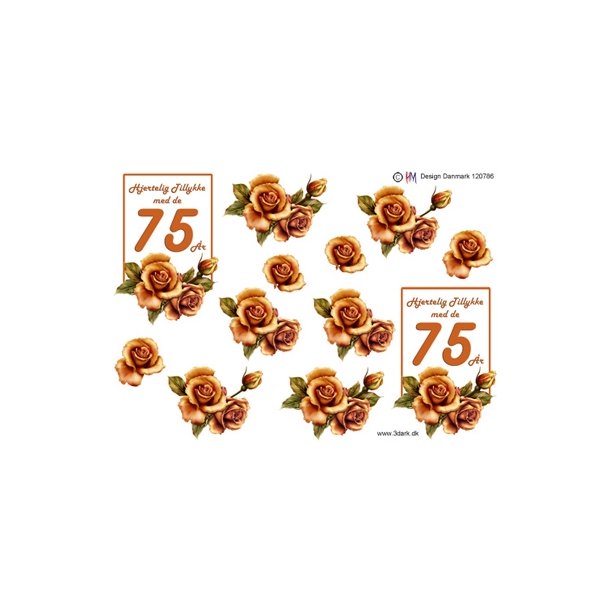 3D 75 �r