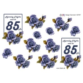 3D 85 �r