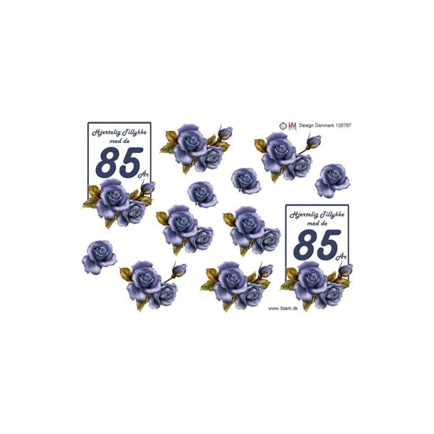 3D 85 �r