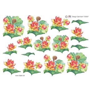 3D �kander