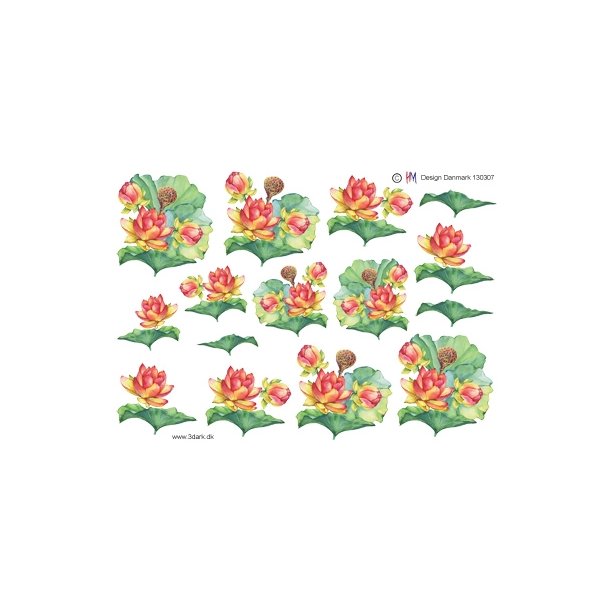3D �kander