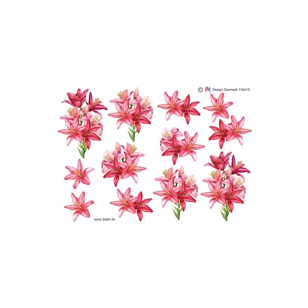  3D R�de liljer