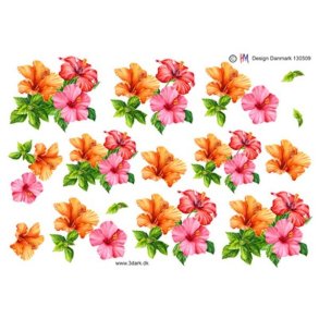  3D Hawaiblomster