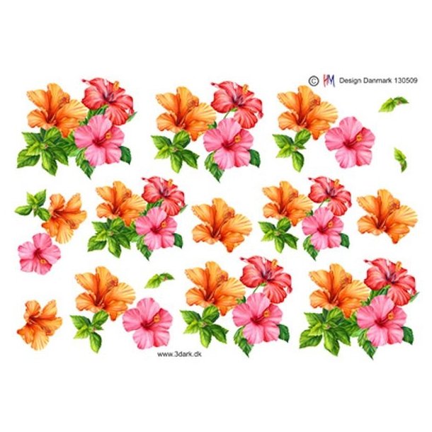  3D Hawaiblomster