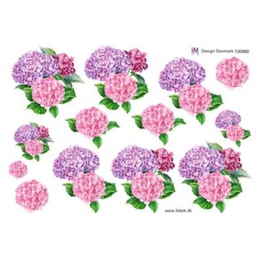  3D Hortensia