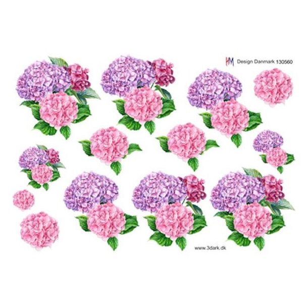  3D Hortensia